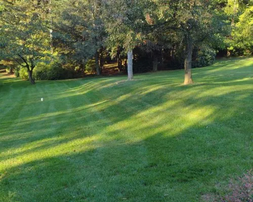 Lehigh Valley Lawn