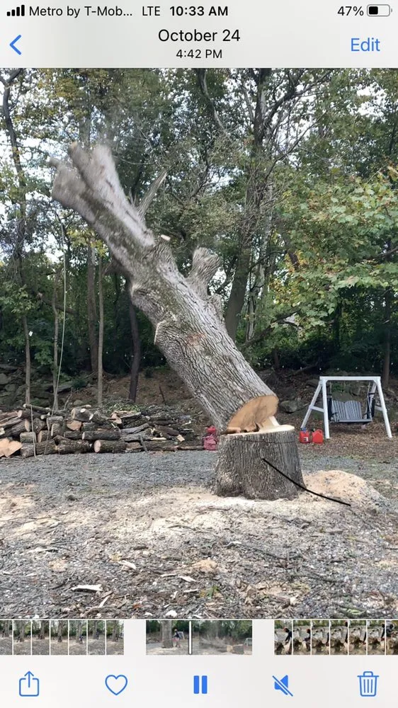 Expert outdoor landscaping experts serving Bethlehem, PA - Lehigh Valley Tree Removal and Landscaping