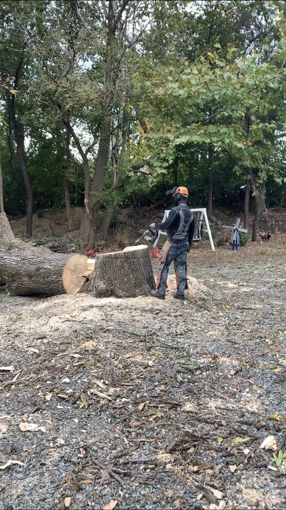 Professional outdoor landscaping for homes in Bethlehem, PA by Lehigh Valley Tree Removal and Landscaping