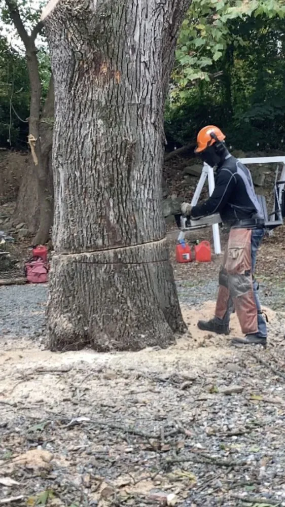 Trusted landscape installation in Bethlehem, PA - Lehigh Valley Tree Removal and Landscaping