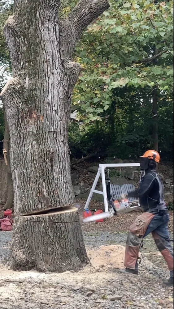 Trusted lawn mowing service for beautiful yards in Bethlehem, PA by Lehigh Valley Tree Removal and Landscaping