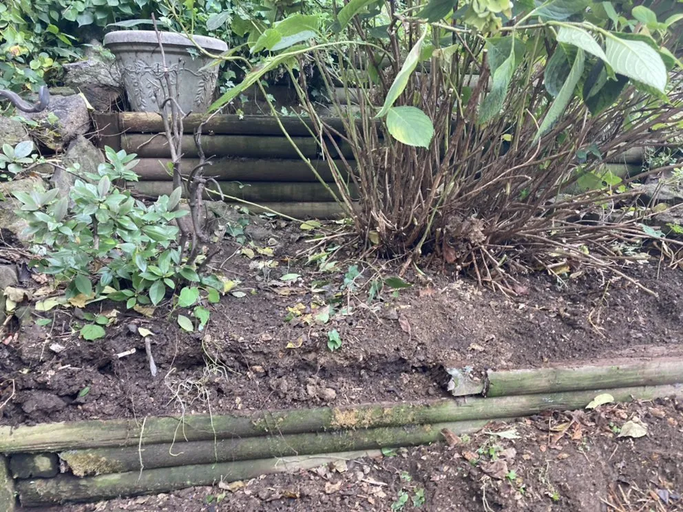 Custom yard cleanup service in Bethlehem, PA by Lehigh Valley Tree Removal and Landscaping