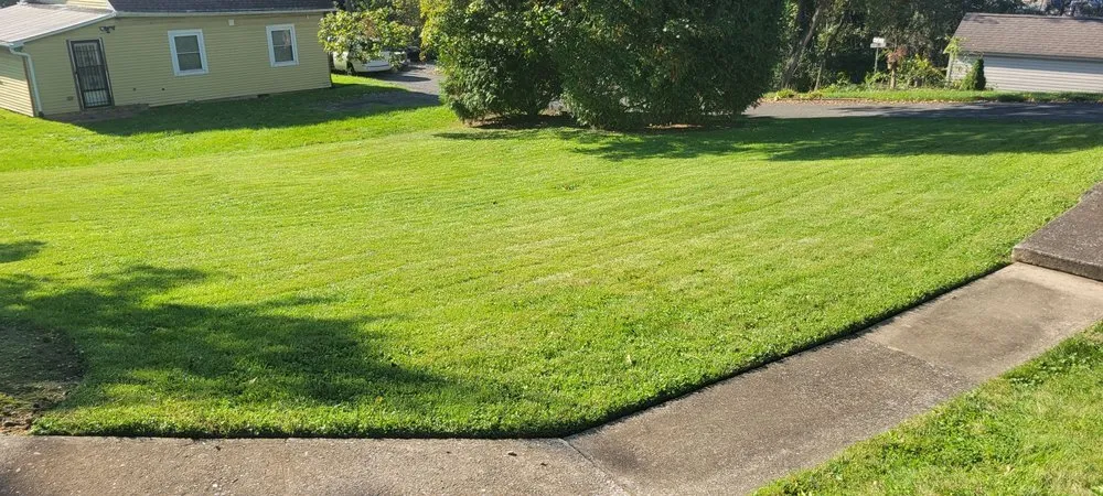 Reliable yard cleanup service experts serving Bethlehem, PA - Lehigh Yardworks
