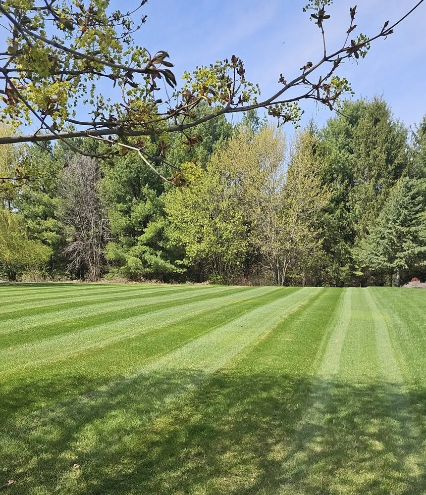 Trusted yard cleanup service for outdoor upgrades across Rochester, MN - Lehman Outdoors