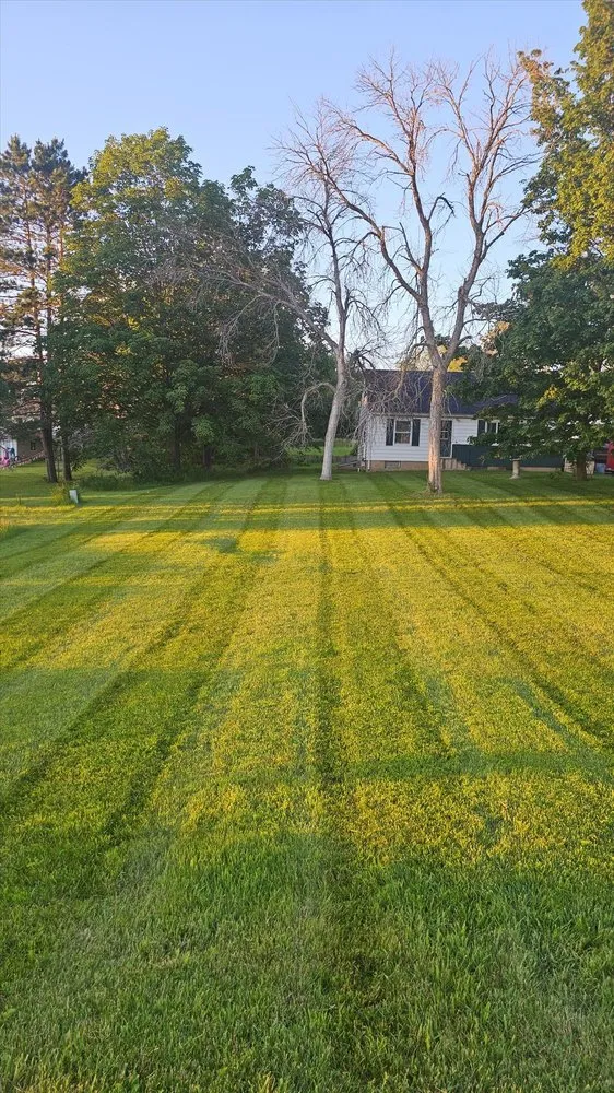 Local yard cleanup service in Rochester, MN - Lehman Outdoors