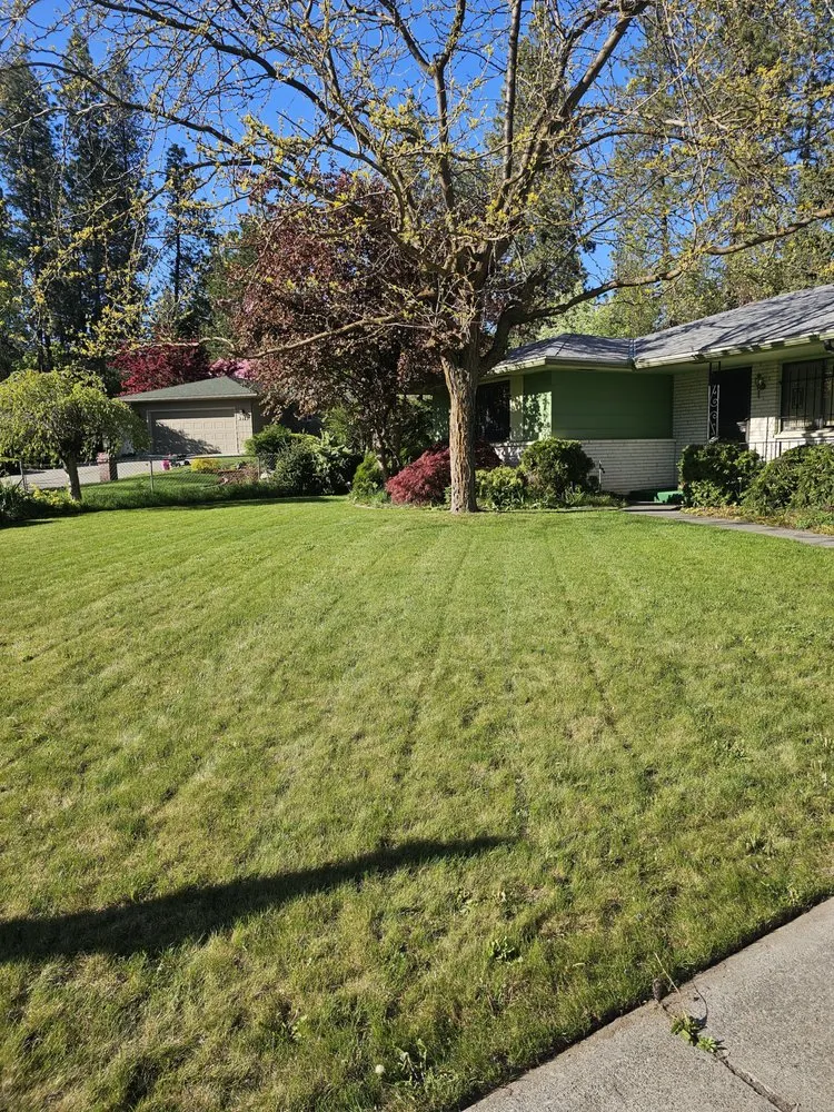 Expert lawn care service in Spokane, WA by Leicht Lawn Care