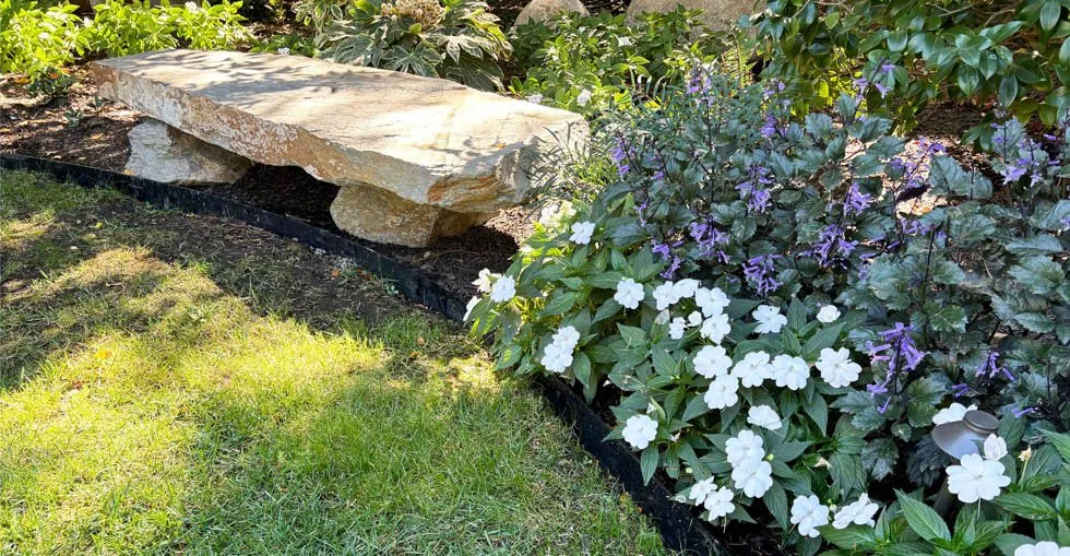 Reliable yard cleanup service for homes in Berkeley, CA by Leigh Designs