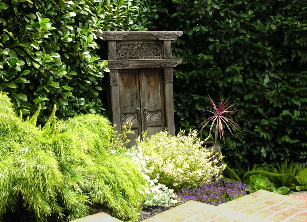 Local lawn care service for homes across Berkeley, CA - Leigh Designs