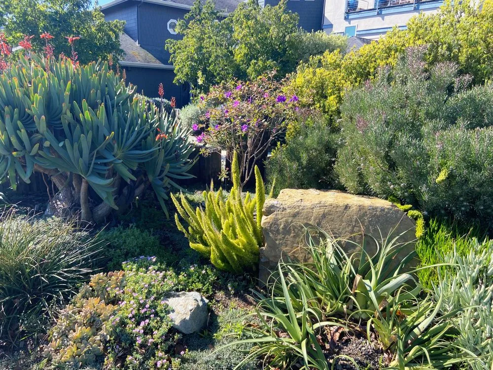 Reliable garden landscaping for beautiful yards across Berkeley, CA - Leigh Designs