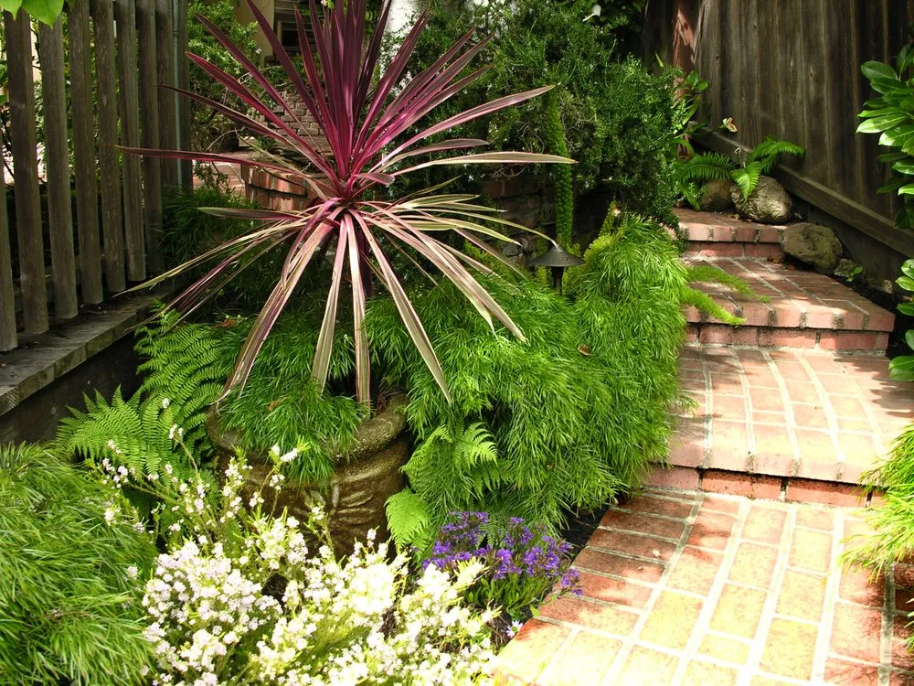 Expert landscape design in Berkeley, CA - Leigh Designs