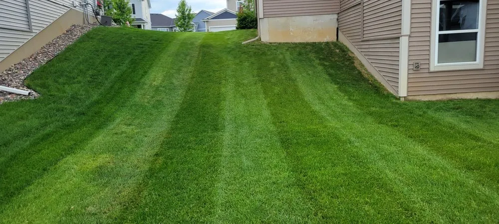Reliable yard cleanup service experts serving Champlin, MN - Leigh Outdoor Services