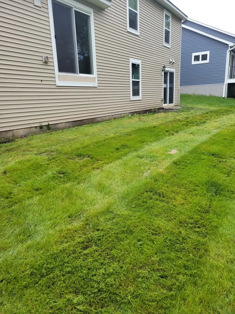 Trusted yard cleanup service in Champlin, MN - Leigh Outdoor Services