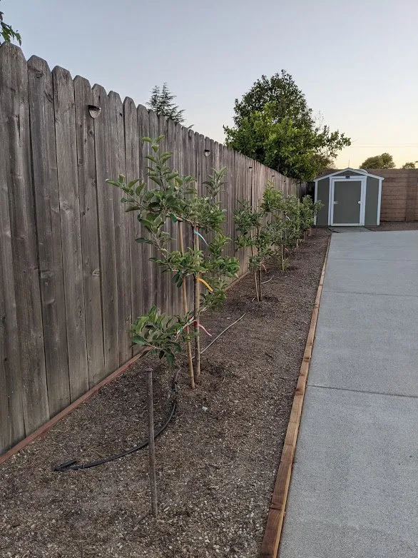 Expert yard maintenance for homes in Napa, CA by Leija Concrete