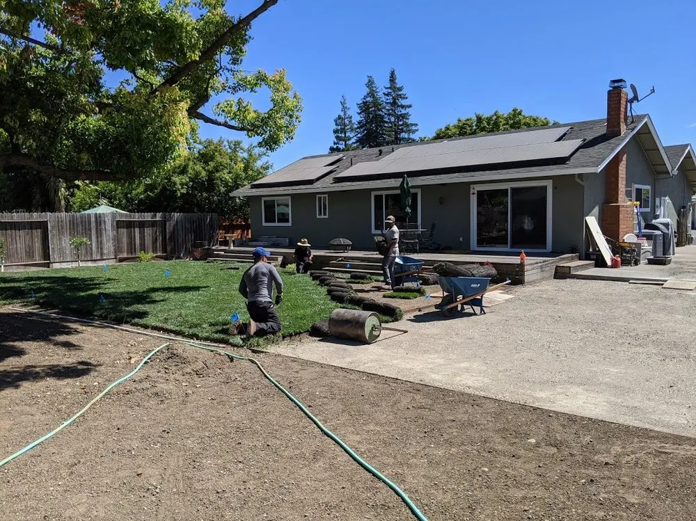 Expert landscaping services in Napa, CA by Leija Concrete