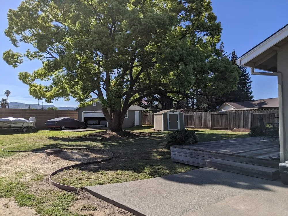 Expert landscaping services in Napa, CA - Leija Concrete