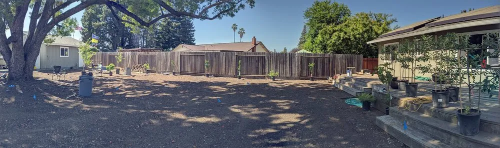 Trusted landscape installation for year-round maintenance across Napa, CA - Leija Concrete