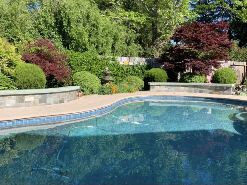 Professional yard cleanup service in Napa, CA by Leija Concrete