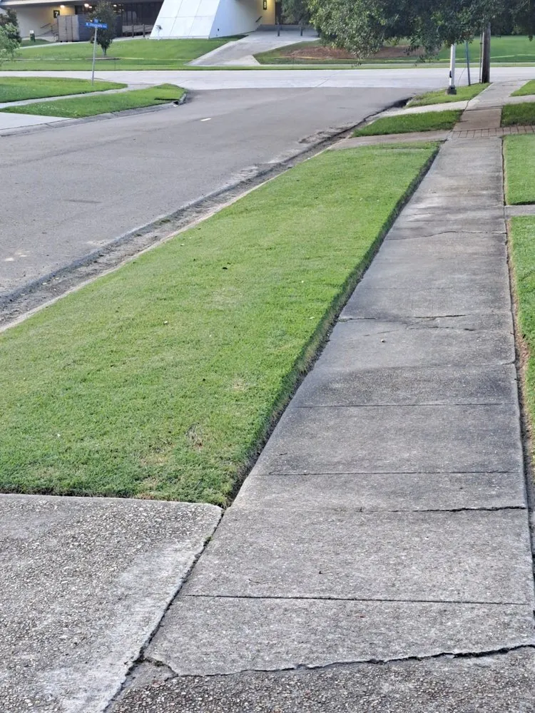 Expert landscape installation for outdoor upgrades in Hammond, LA by Leikers lawncare