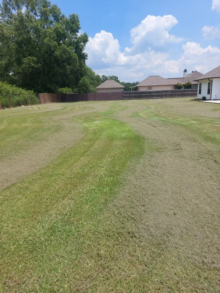 Affordable landscaping services for residential properties in Hammond, LA by Leikers lawncare