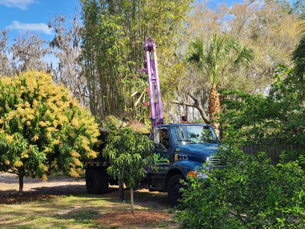 Trusted lawn care service for beautiful yards in Palmetto, FL by Leilani Tree & Land Services