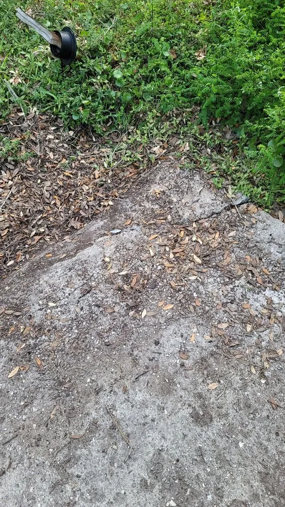 Local outdoor landscaping in Palmetto, FL by Leilani Tree & Land Services