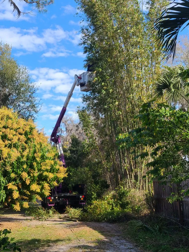 Trusted garden landscaping experts serving Palmetto, FL - Leilani Tree & Land Services
