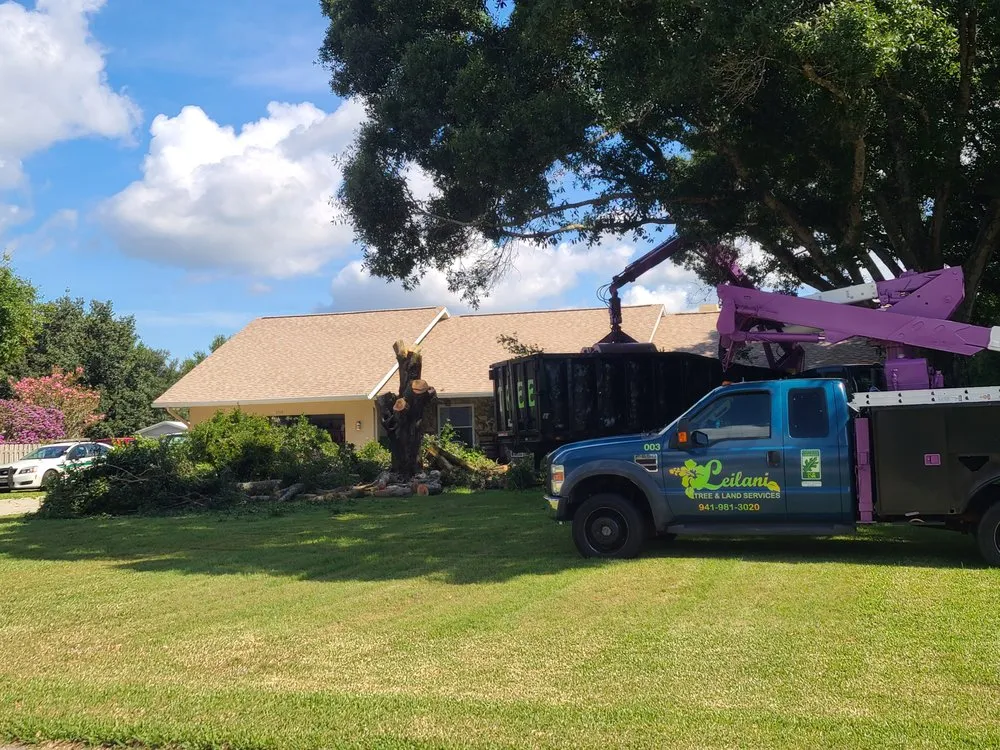 Custom residential landscaping for outdoor upgrades in Palmetto, FL by Leilani Tree & Land Services