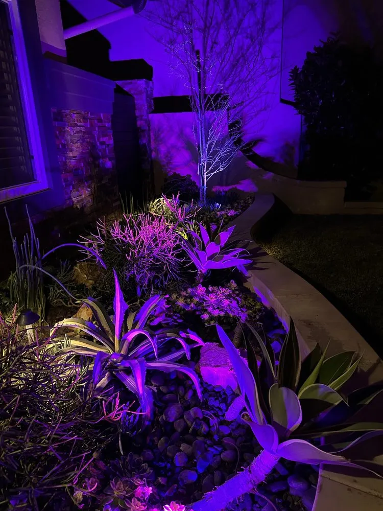 Expert yard maintenance in Costa Mesa, CA by Leilas Earth Landscape