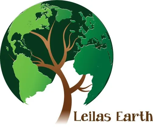 Professional landscape installation for outdoor upgrades in Costa Mesa, CA by Leilas Earth Landscape