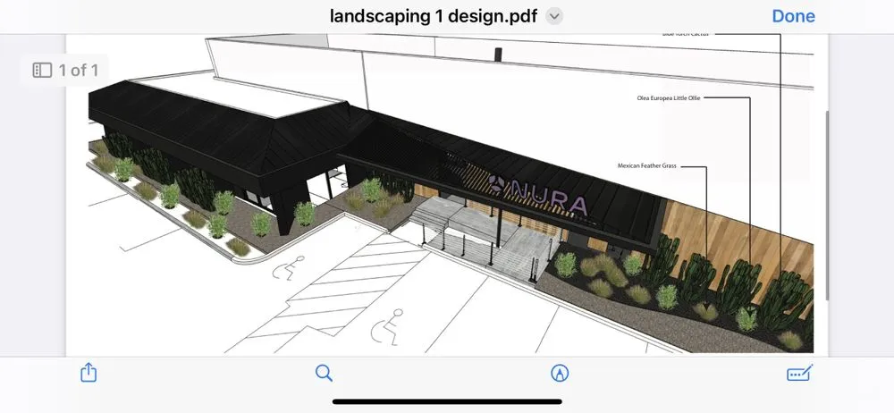 Professional landscaping services in Costa Mesa, CA by Leilas Earth Landscape