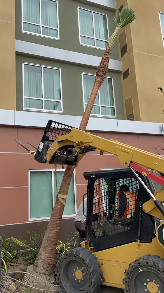 Professional landscape design for beautiful yards in Costa Mesa, CA by Leilas Earth Landscape