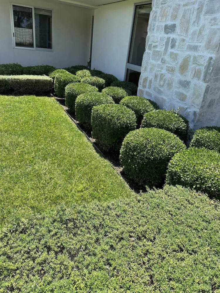Trusted garden landscaping experts serving Costa Mesa, CA - Leilas Earth Landscape