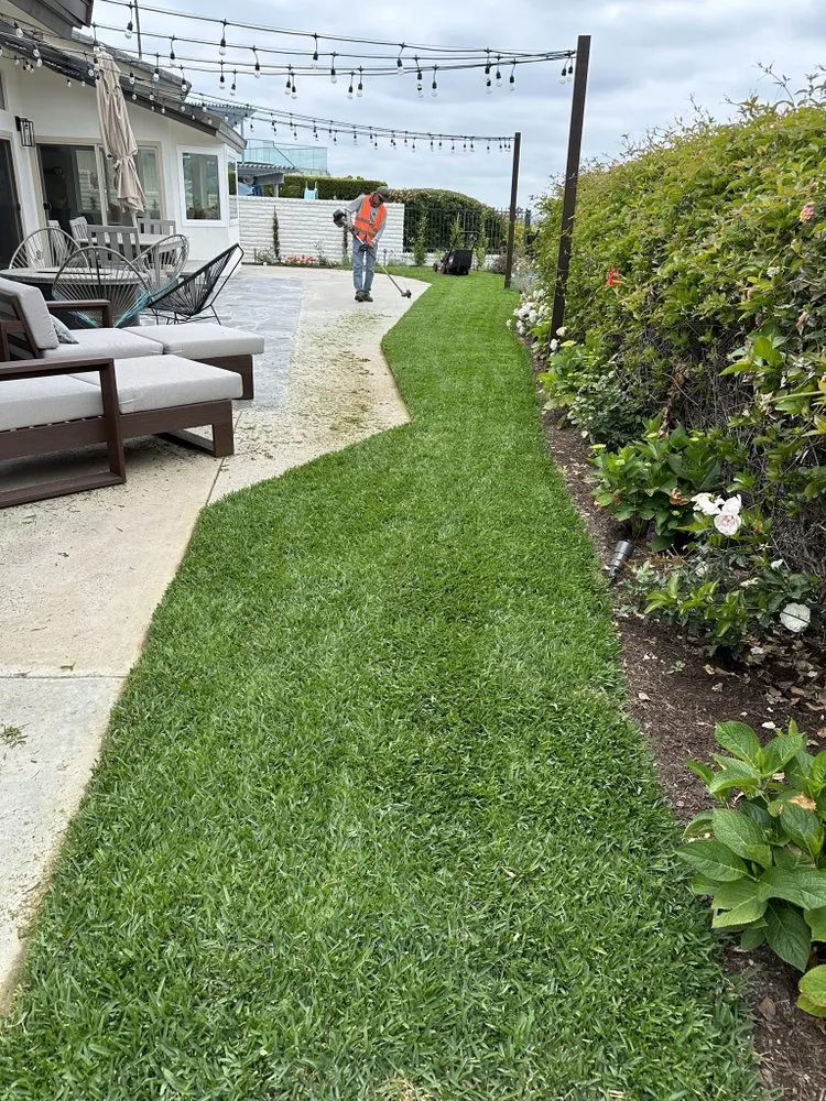 Top-rated garden landscaping experts serving Costa Mesa, CA - Leilas Earth Landscape