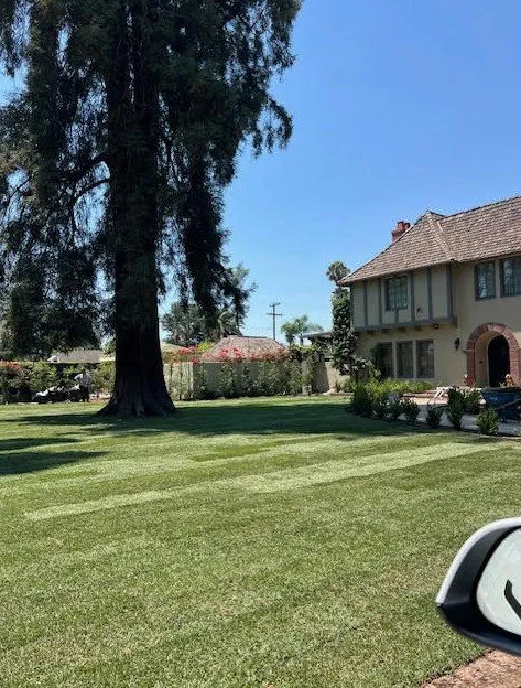 Professional outdoor landscaping experts serving Costa Mesa, CA - Leilas Earth Landscape