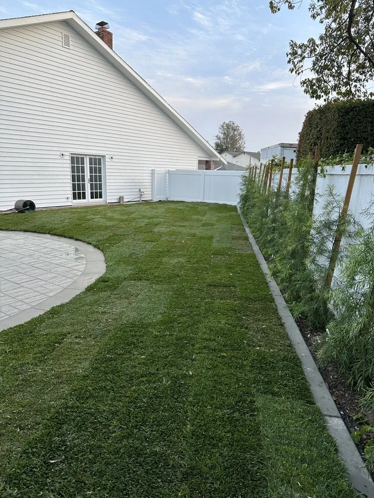 Reliable landscape installation in Costa Mesa, CA by Leilas Earth Landscape