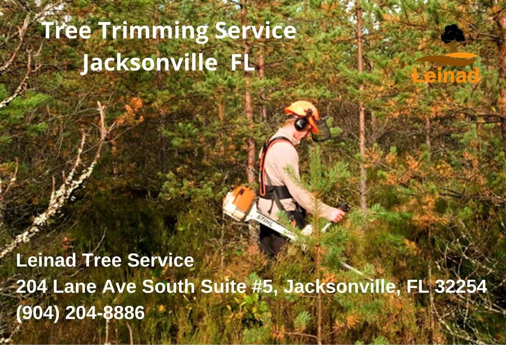 Expert yard cleanup service experts serving Jacksonville, FL - Leinad Tree Service - Jacksonville