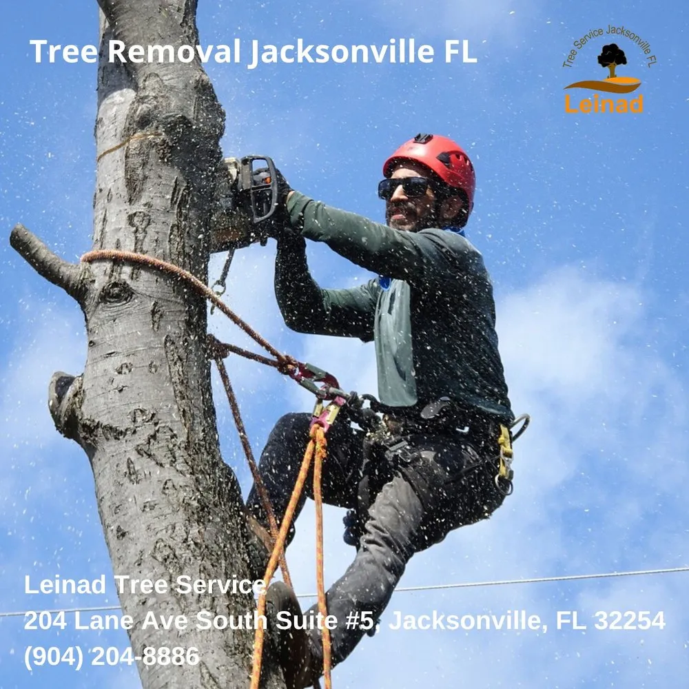 Reliable yard cleanup service in Jacksonville, FL by Leinad Tree Service - Jacksonville