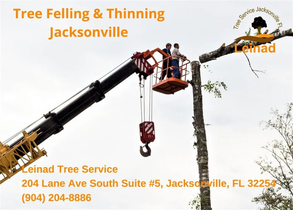 Custom yard maintenance in Jacksonville, FL by Leinad Tree Service - Jacksonville
