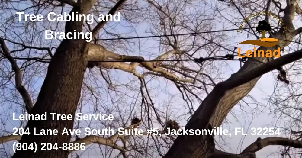 Reliable landscape installation in Jacksonville, FL by Leinad Tree Service - Jacksonville