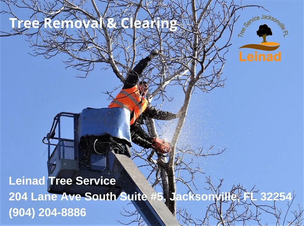 Top-rated yard cleanup service for year-round maintenance in Jacksonville, FL by Leinad Tree Service - Jacksonville