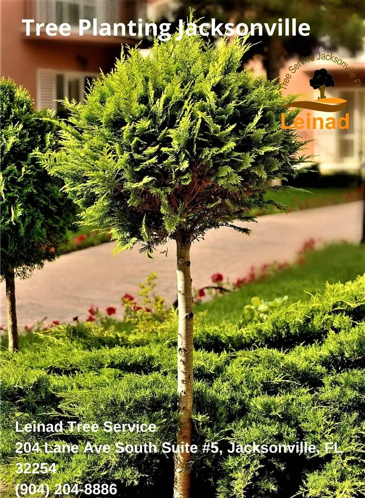 Trusted landscape design in Jacksonville, FL by Leinad Tree Service - Jacksonville
