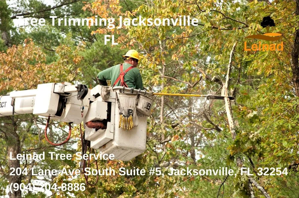 Reliable outdoor landscaping near you in Jacksonville, FL by Leinad Tree Service - Jacksonville