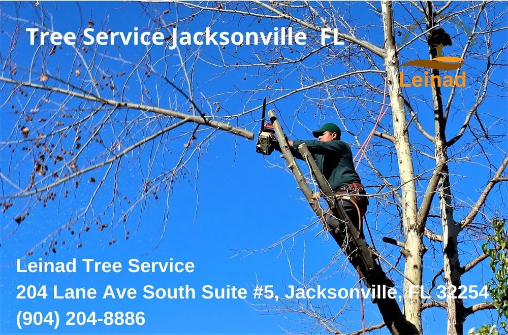 Custom landscape installation in Jacksonville, FL by Leinad Tree Service - Jacksonville