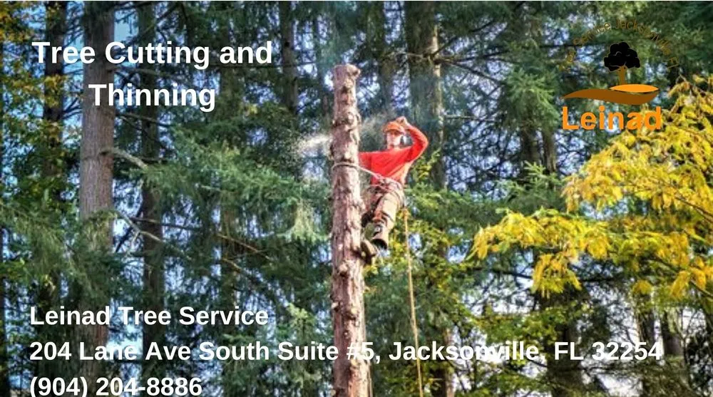 Reliable landscape design in Jacksonville, FL - Leinad Tree Service - Jacksonville