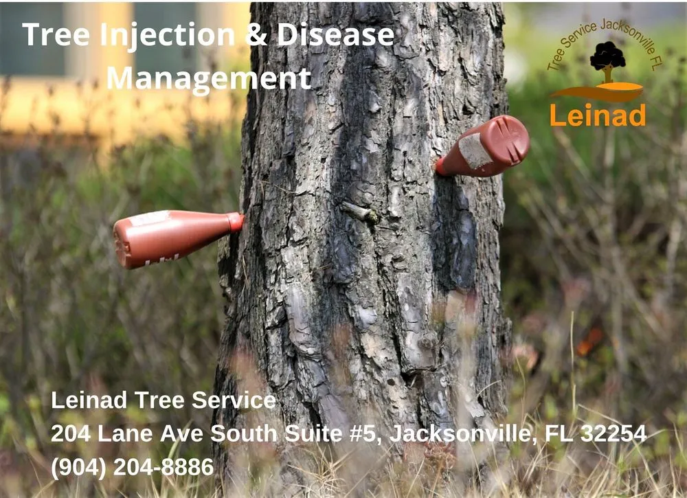 Trusted garden landscaping in Jacksonville, FL by Leinad Tree Service - Jacksonville