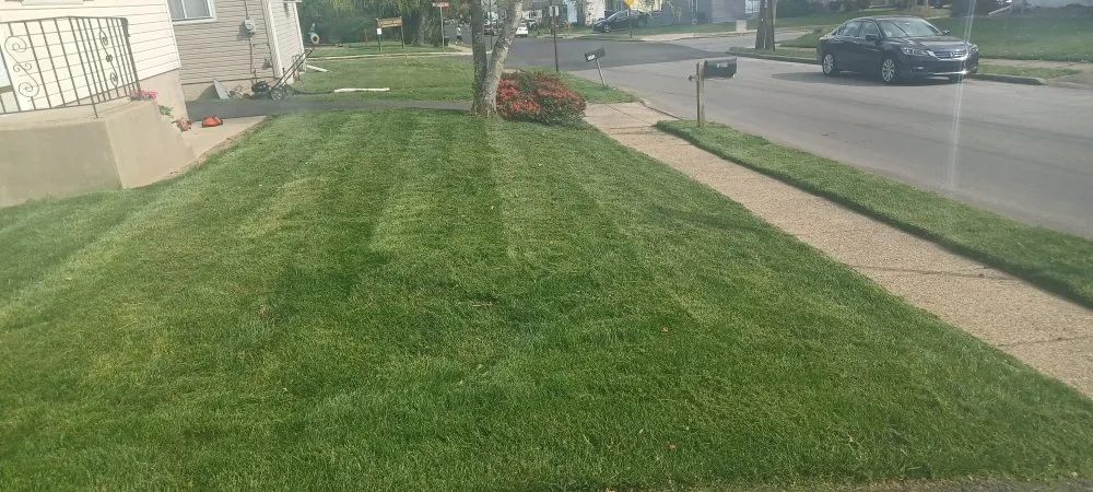 Local yard cleanup service for year-round maintenance across Glenside, PA - Leister Landscaping