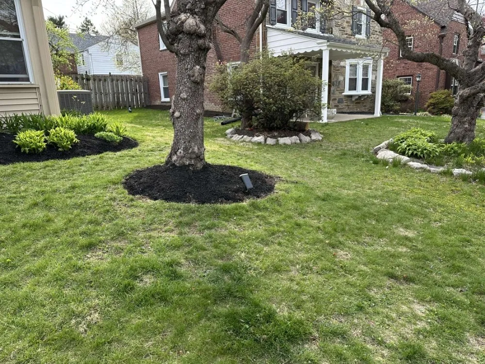 Professional yard maintenance in Glenside, PA by Leister Landscaping
