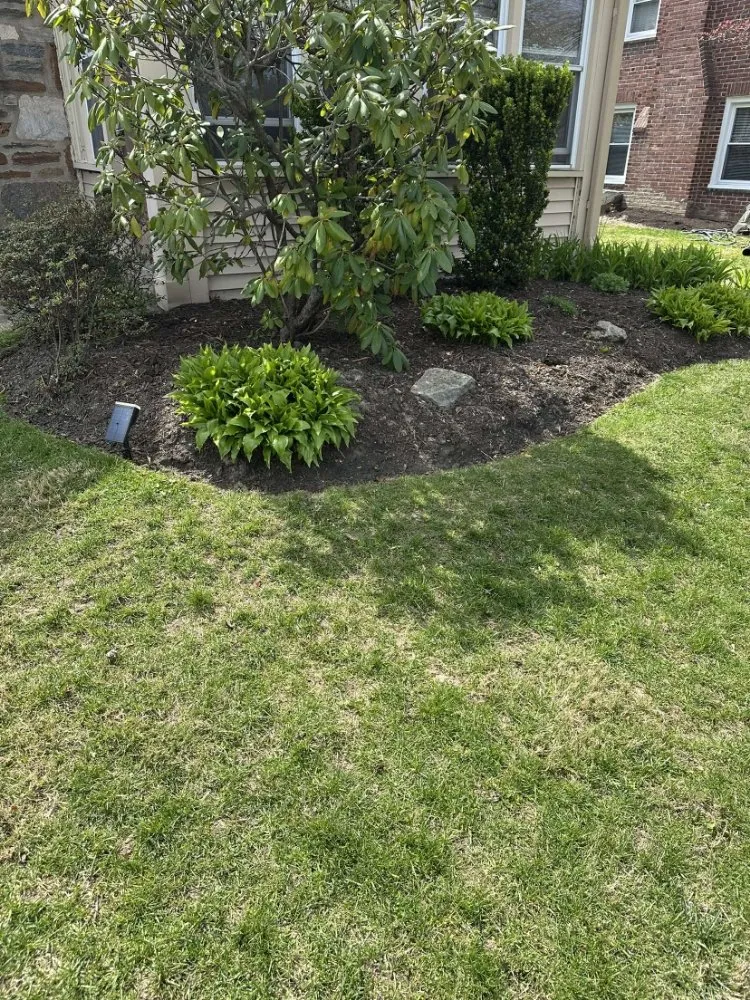 Top-rated landscape design experts serving Glenside, PA - Leister Landscaping