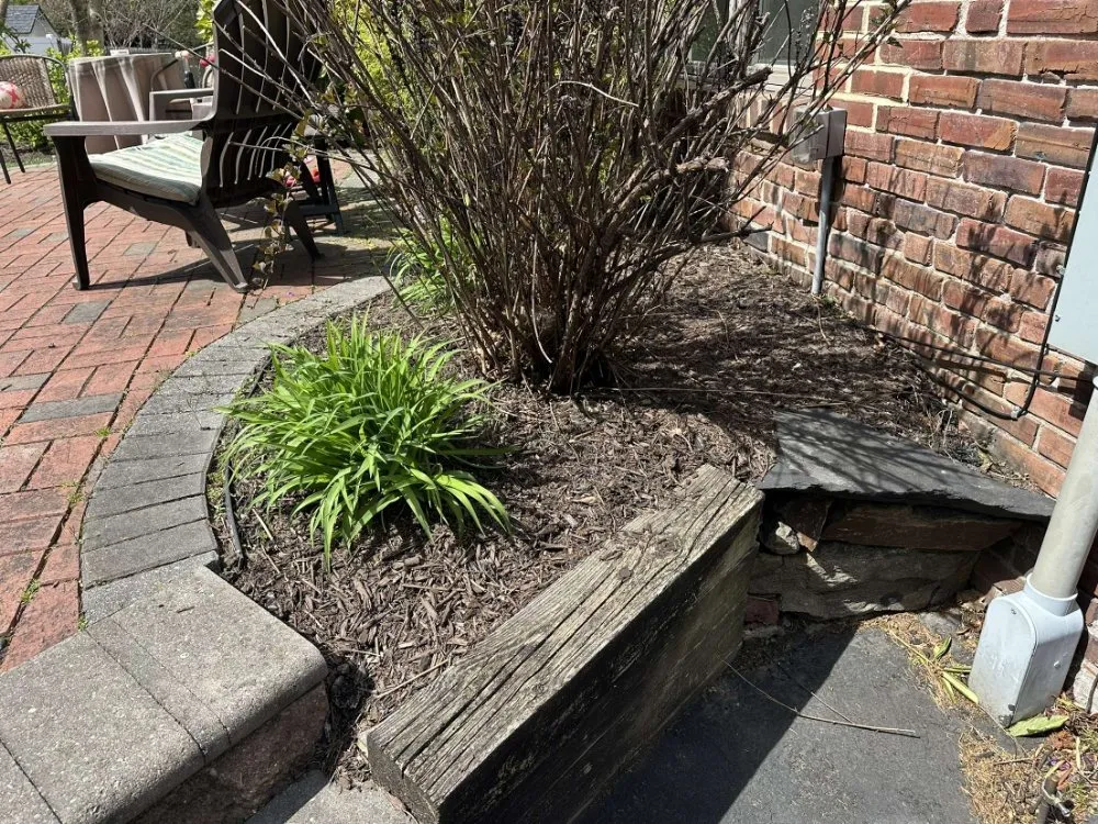 Professional outdoor landscaping for residential properties in Glenside, PA by Leister Landscaping