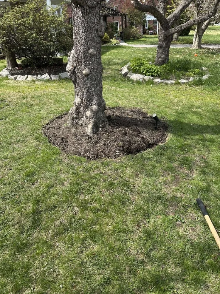 Top-rated landscaping services in Glenside, PA by Leister Landscaping